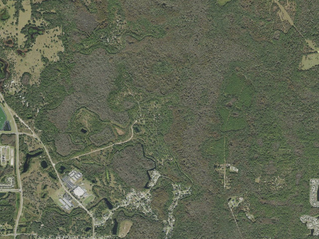 Aerial image of Pine Flats primitive (Cypress Creek Preserve)