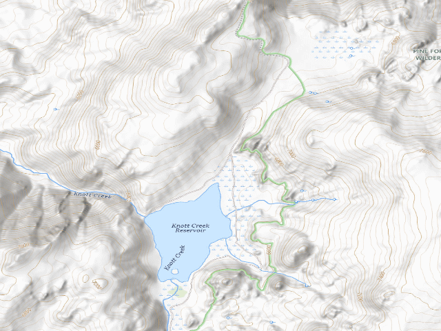 USGS topographic map of Pine Forest Recreation Area