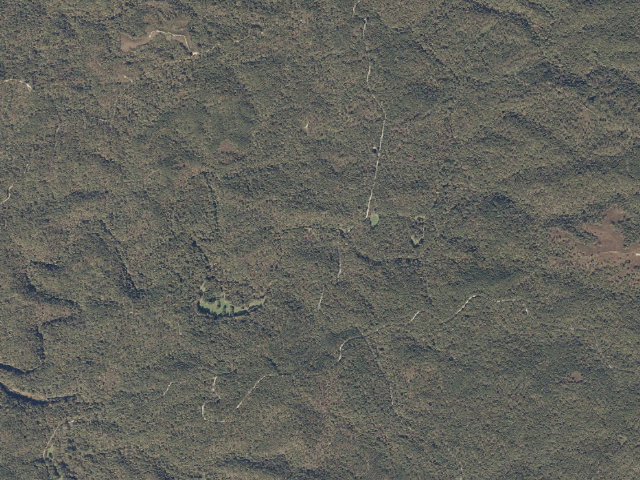 Aerial image of Pine Glen