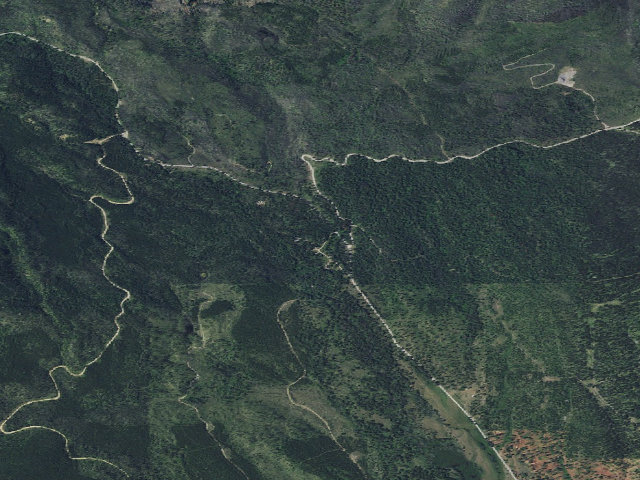 Aerial image of Pine Grove-001A