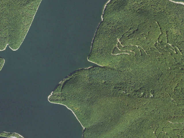Aerial image of Pine Grove Boat To