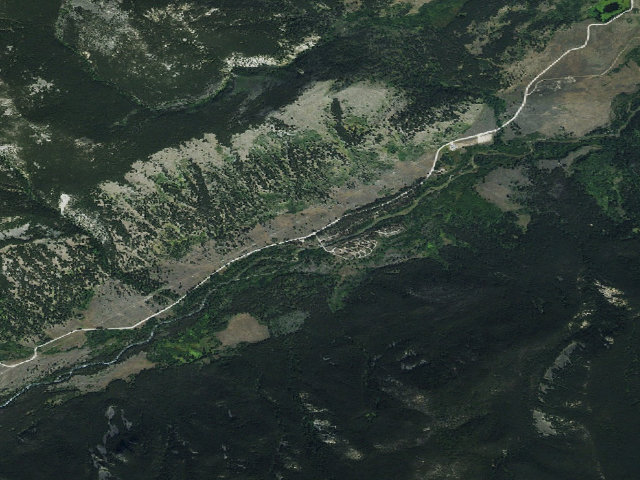 Aerial image of Pine Grove