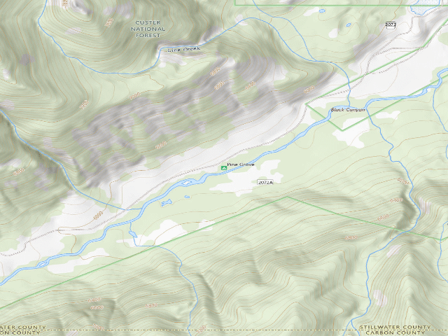 USGS topographic map of Pine Grove