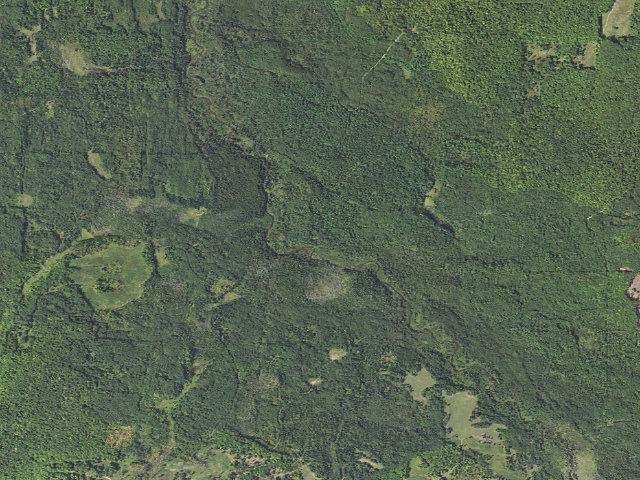 Aerial image of Pine Grove State Forest Campground