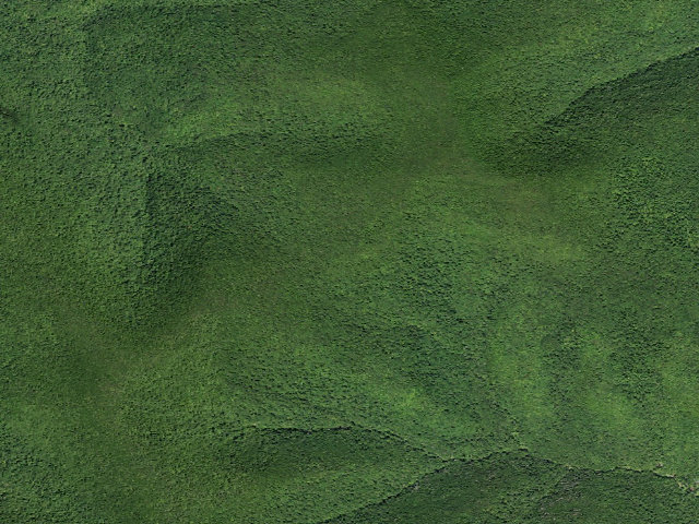 Aerial image of Pine Hill West Branch Trail Primitive Campsite [DEC #228721] (Big Indian Wilderness)