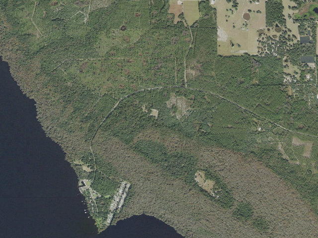 Aerial image of Pine Island group campsite (Lake George Conservation Area)