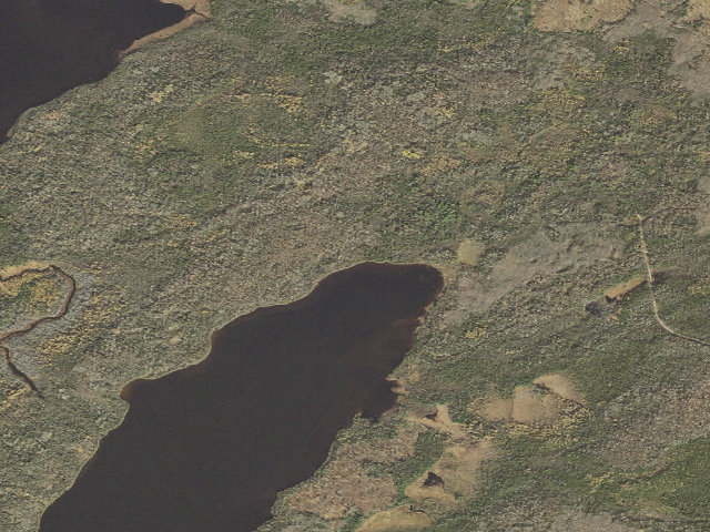 Aerial image of Pine Lake 2