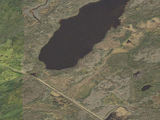 Aerial image of Pine Lake 3