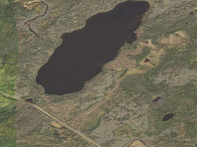 Aerial image of Pine Lake 4
