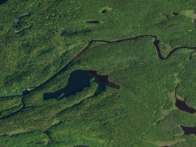 Aerial image of Pine Lake Primtive Tentsite [DEC #3630] (Pine Lake Primitive Area)