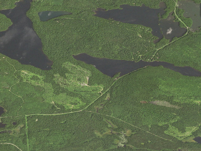 Aerial image of Pine Lake Site 1