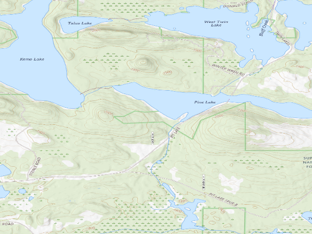 USGS topographic map of Pine Lake Site 1