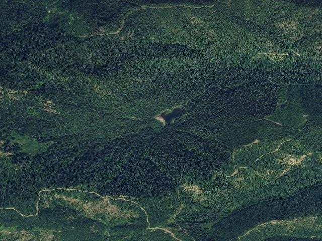 Aerial image of Pine Lake