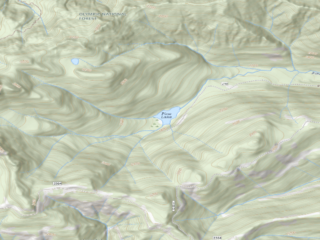 USGS topographic map of Pine Lake