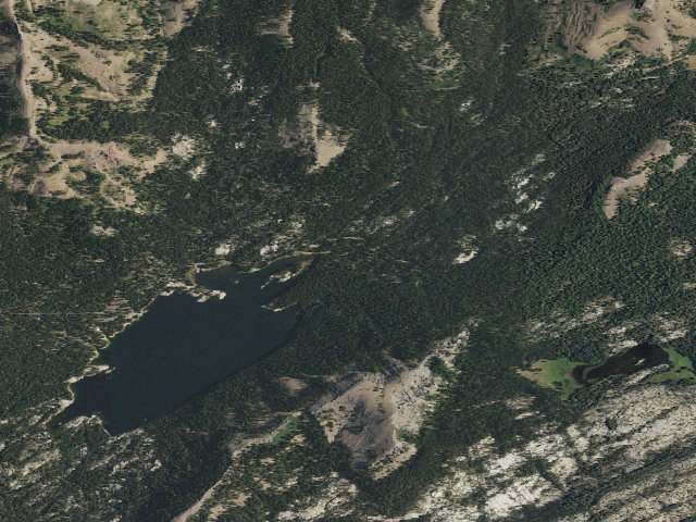 Aerial image of Pine Marten