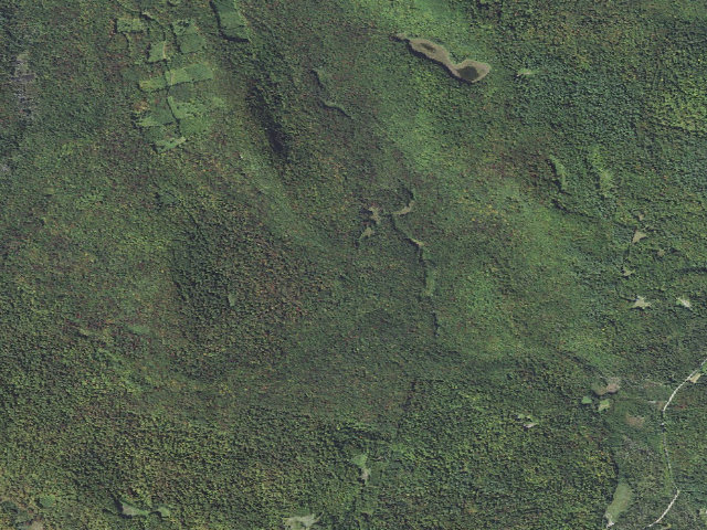 Aerial image of Pine Mountain WMA primitive camping area 2