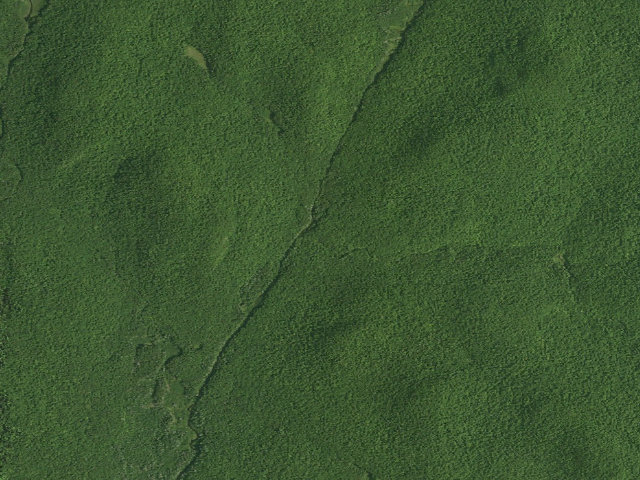 Aerial image of Pine Mt Campsite 1 (Siamese Ponds Wilderness)