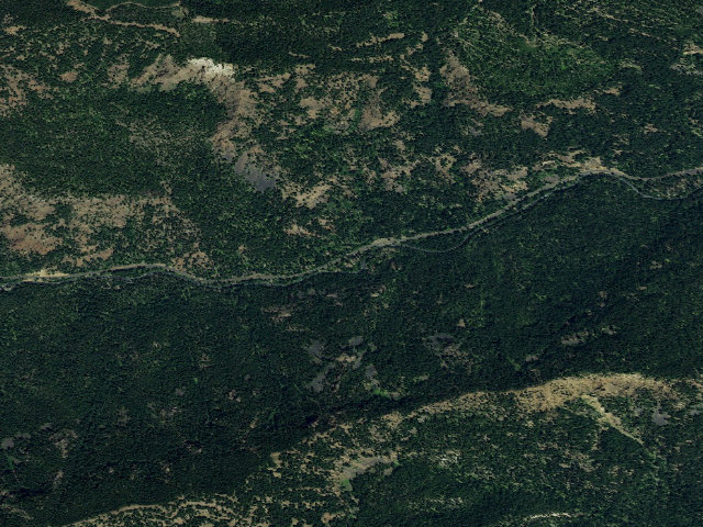 Aerial image of Pine Needle