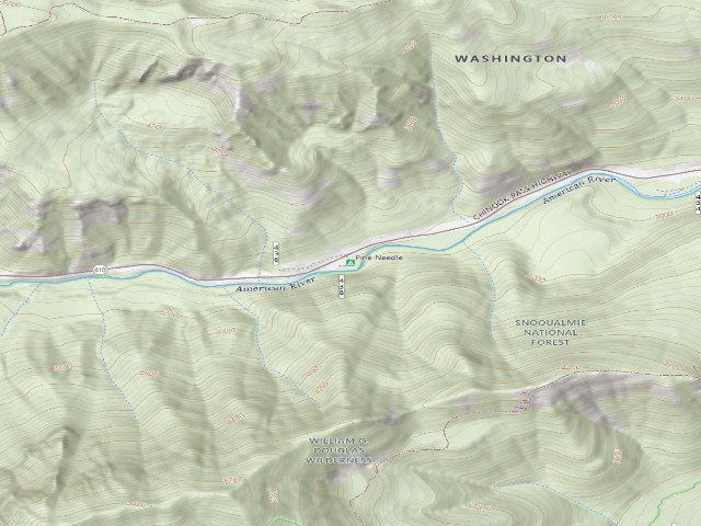 USGS topographic map of Pine Needle
