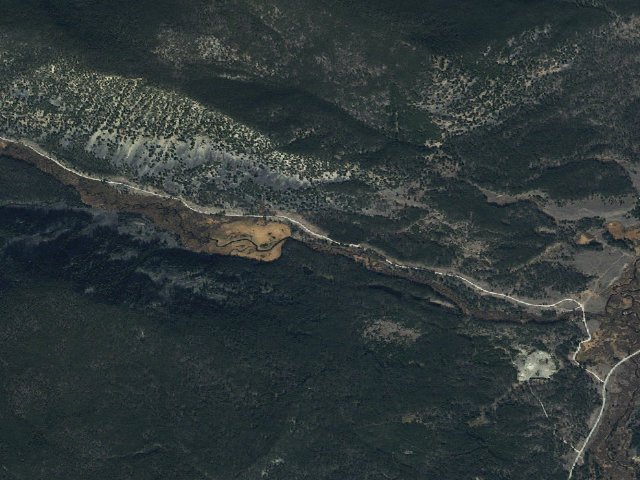 Aerial image of Pine Needles