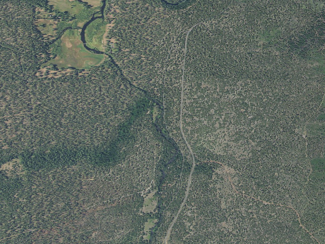 Aerial image of Pine Rest