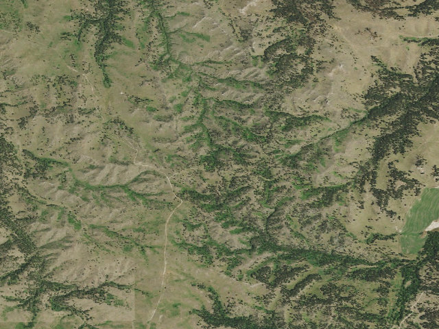 Aerial image of Pine Ridge — Nebraska National Forest