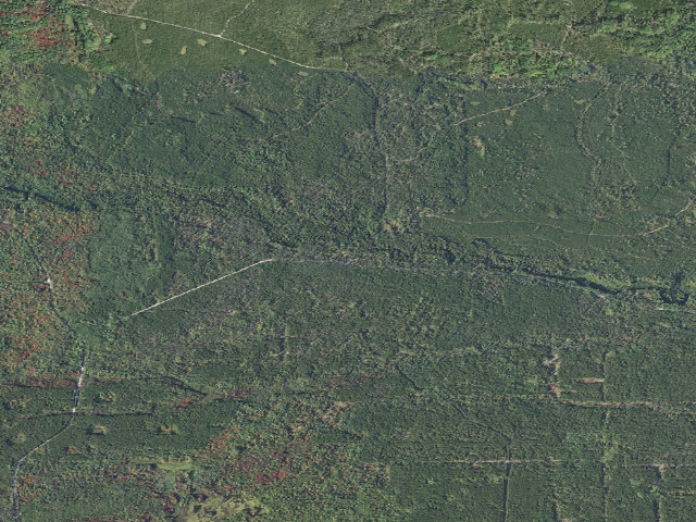 Aerial image of Pine River Campground