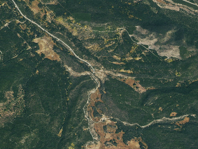 Aerial image of Pines