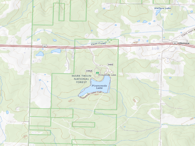 USGS topographic map of Pinewoods Lake