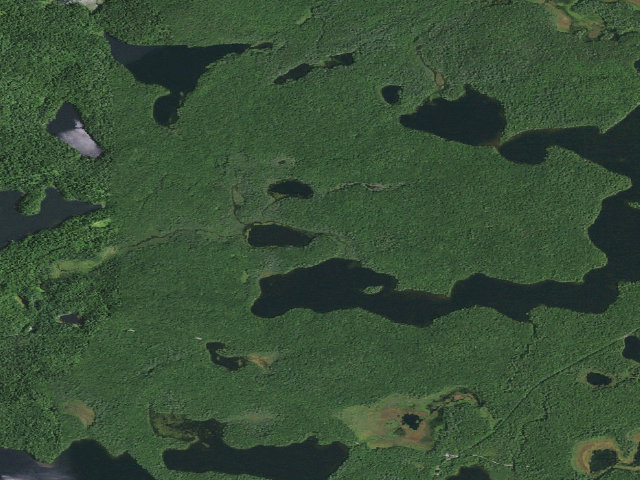 Aerial image of Pink Pond Site 1 (Saint Regis Canoe Area)