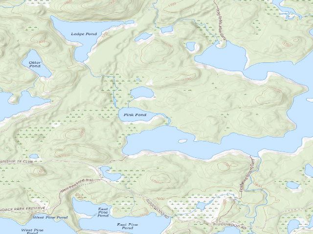 USGS topographic map of Pink Pond Site 1 (Saint Regis Canoe Area)