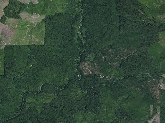 Aerial image of Pioneer Camp