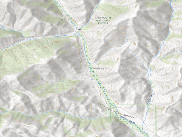 USGS topographic map of Pioneer Cg