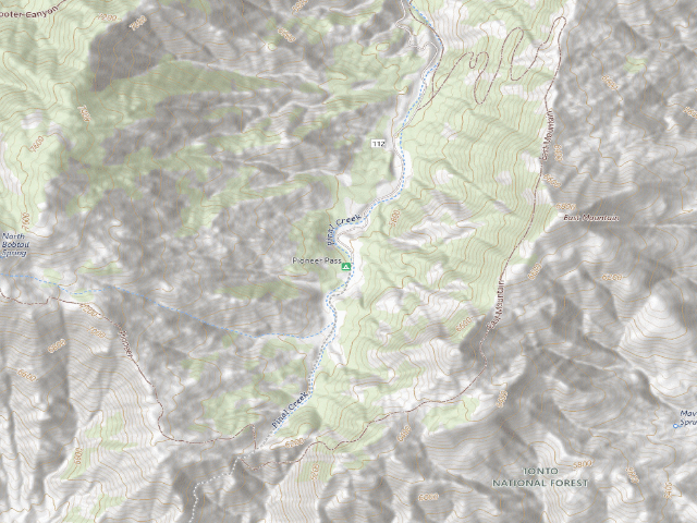 USGS topographic map of Pioneer Pass