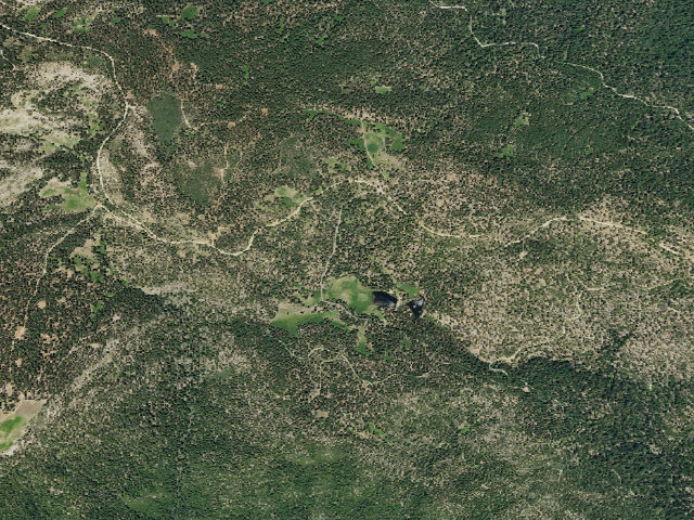 Aerial image of Plaskett Meadows