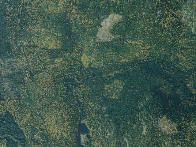 Aerial image of Pnt04 Tr51 Site B