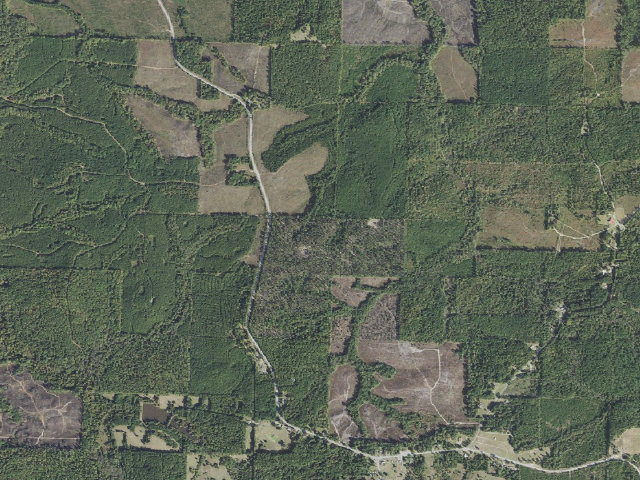 Aerial image of Poison Springs Camping Area #A-1