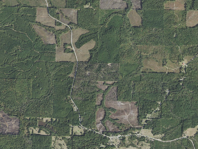 Aerial image of Poison Springs Camping Area #A-2