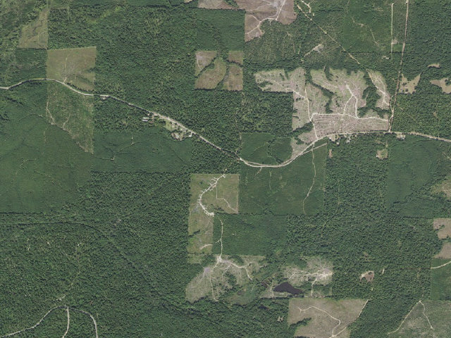 Aerial image of Poison Springs Camping Area #B-12