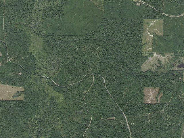 Aerial image of Poison Springs Camping Area #B-28