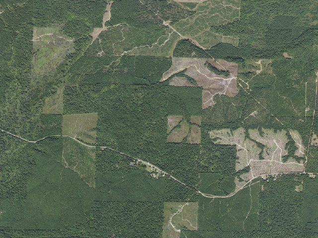 Aerial image of Poison Springs Camping Area #B-7