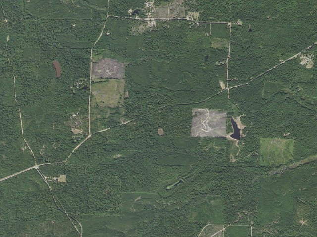 Aerial image of Poison Springs Camping Area #B-9
