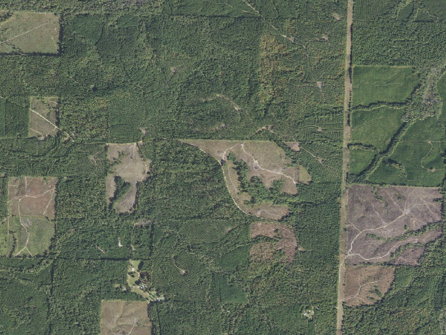Aerial image of Poison Springs Camping Area #C-10