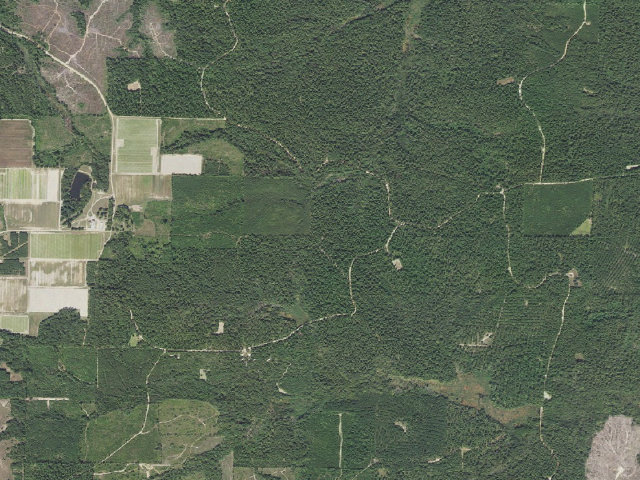 Aerial image of Poison Springs Camping Area #C-102