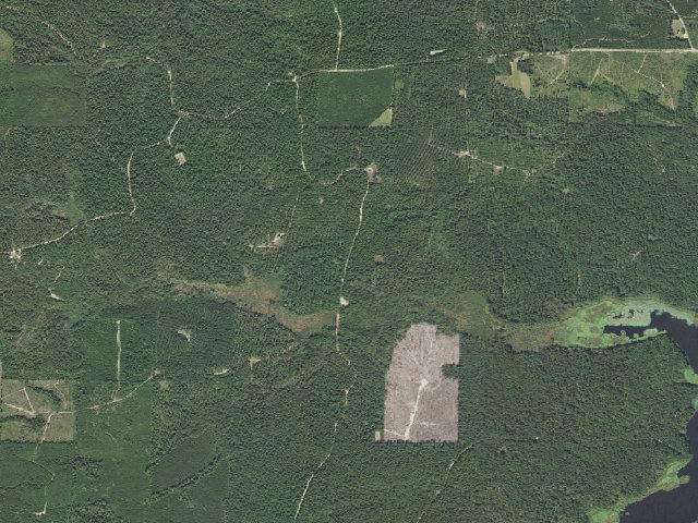 Aerial image of Poison Springs Camping Area #C-118