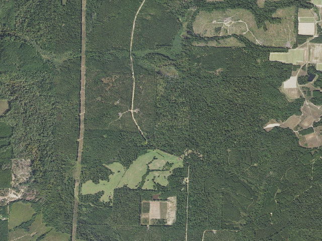 Aerial image of Poison Springs Camping Area #C-119