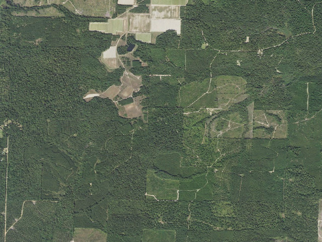 Aerial image of Poison Springs Camping Area #C-123