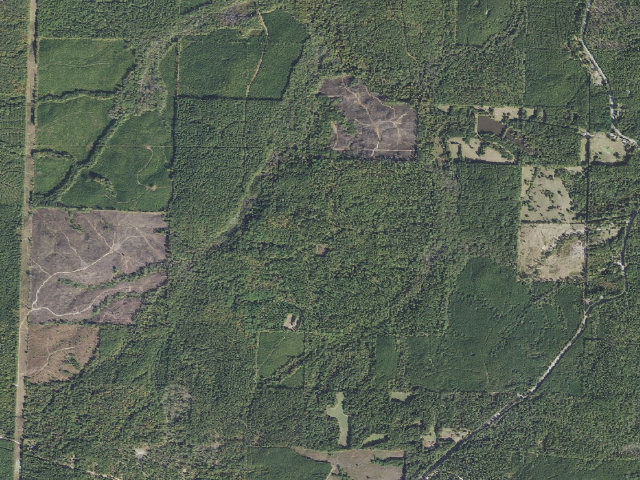 Aerial image of Poison Springs Camping Area #C-18