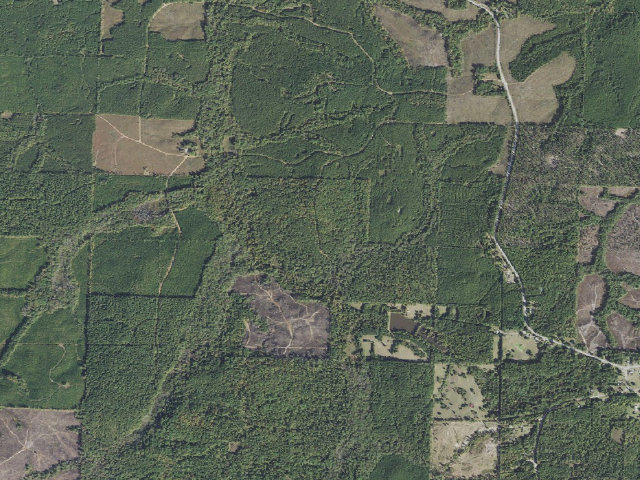 Aerial image of Poison Springs Camping Area #C-2