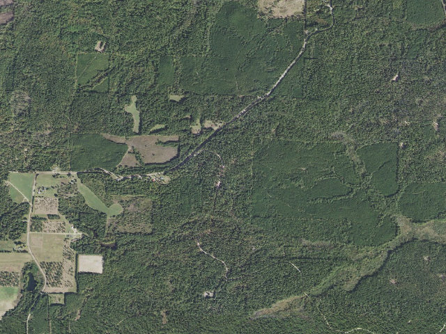 Aerial image of Poison Springs Camping Area #C-29